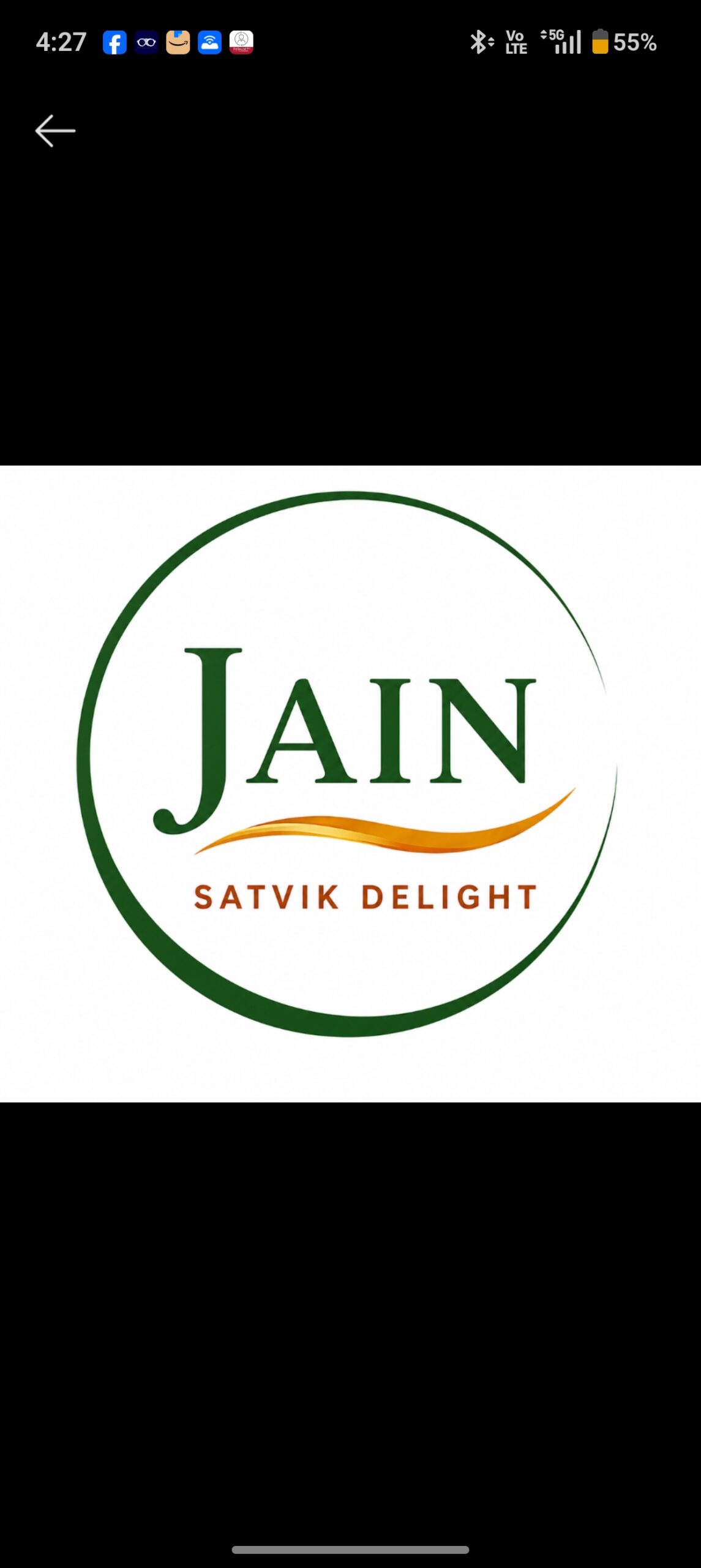 Jain Satvik Delight